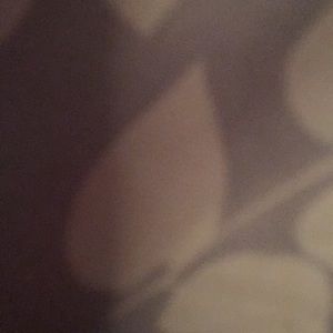 Meet your Posher, Bryce